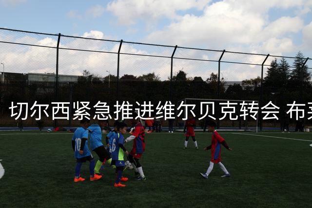 切尔西紧急推进维尔贝克转会 布莱顿前锋24小时内接受体检