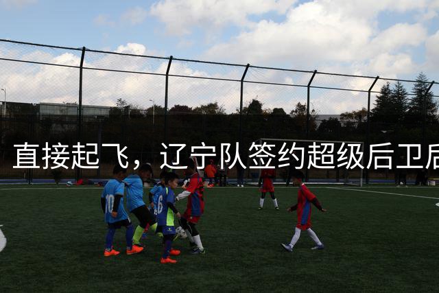 直接起飞，辽宁队签约超级后卫后，又爆有大动作，韩德君确实厉害