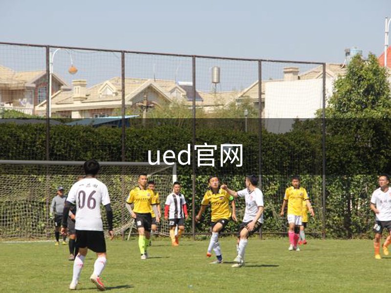 网站介绍